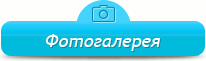 Фотогалерея